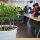 학남경로당 이미지