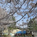 전북특별자치도교육청진안도서관 | 전북 진안도서관 희망도서 바로대출 후기 (ft. 책방사람 서점)