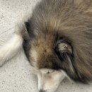 살롱메이크 오목교점