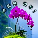 울산예술고등학교 이미지