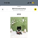 마이댕댕 | 염창동 애견미용 추천 마이온리댕댕 포메라니안 미용 후기