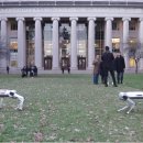MIT 공대에서 연구하는 치타 로봇 이미지