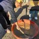 달성보약산민박 이미지