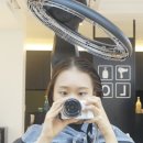 살롱드욜로(Salon de YoLo)