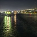 11월 29일 출석부 올립니다 이미지