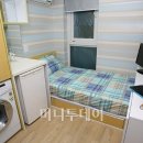 빌레드유니