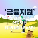 에스아이에프