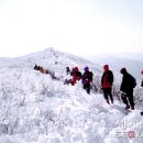 태백산 이미지