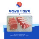 다린참치