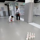 신동태권키즈짐 이미지