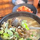 충주식 병천시래기순대국 네이버블로그