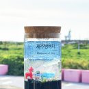 원데이제주