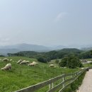 산기슭목장 이미지