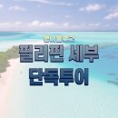 세부야여행사 | [필리핀 세부🇵🇭] 세부 투어 보호강리버 헐밋코브 투어 단독 투어 세부야 안녕 세부투어 예약 방법 금액