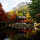 장성아파트 앞 이미지