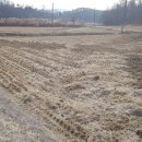 동막동(3) 이미지