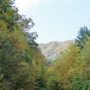 산돌아민박 이미지