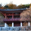 용평동 용호정 이미지