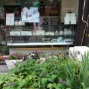 코코호도송내로데오점 | 코코호도 - 송내 로데오점