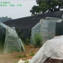 삼월리 이미지