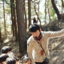 알프스 유아숲체험원 이미지