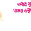 국민카드,농협카드,롯데카드 개인정보유출정보 확인방법 이미지