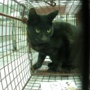 이상윤동물병원 이미지