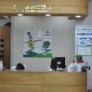 신소아청소년과의원 네이버블로그