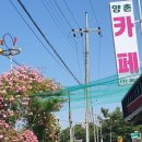 논산 양촌면 힐링 맛집 양촌 유원지 다녀온 후기