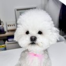 탄리로95번길 이미지