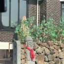 마왕족발산본역점 이미지