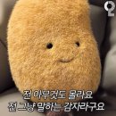 감자맨의 추석 연휴 🌕