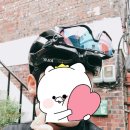 프로톤Q