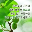 한주로 이미지