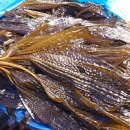 바우길 6구간 이미지