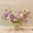 일리아나 | 해운대꽃집 일리아나플라워 후리지아꽃말 미니꽃다발 파는곳 가격