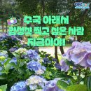 도초시목길 이미지