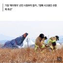 항철위 &#34;블랙박스, 사고 4분 전부터 기록 안 돼…원인 파악 중&#34; 이미지