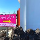 내동이 새왓댁 이미지