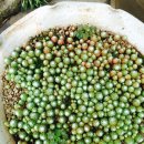 산호동315 이미지