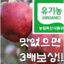 맛없으면사과