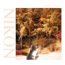 문정로 | 입문용 카메라 추천 풀프레임 미러리스 니콘 Z6III 기능과 작례