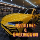 논곡로 | 구월동세차,[람보르기니 우루스] 실내오염까지 디테일링하게!