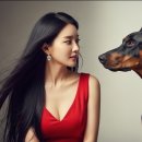 엘모펫 | 반려동물 케어 혁명! 펫시터 앱 TOP 5 비교 추천