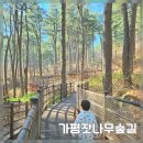 잣향기푸른숲 유아숲체험원 이미지