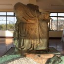 경북대학교 박물관 이미지