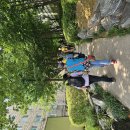 26.6/17.수 항동철길 푸른수목원 경유 천왕산 개웅산 (곰배 방장님) 이미지