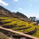 지리산 다랭이 스테이 이미지