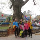 남지중학교 이미지