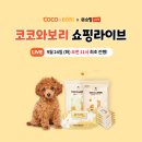 럭키코코